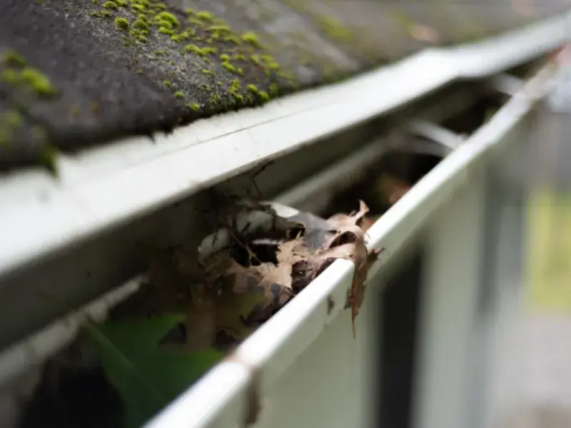 gutters-need-cleaning